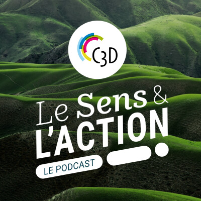 podcast le sens de l'action