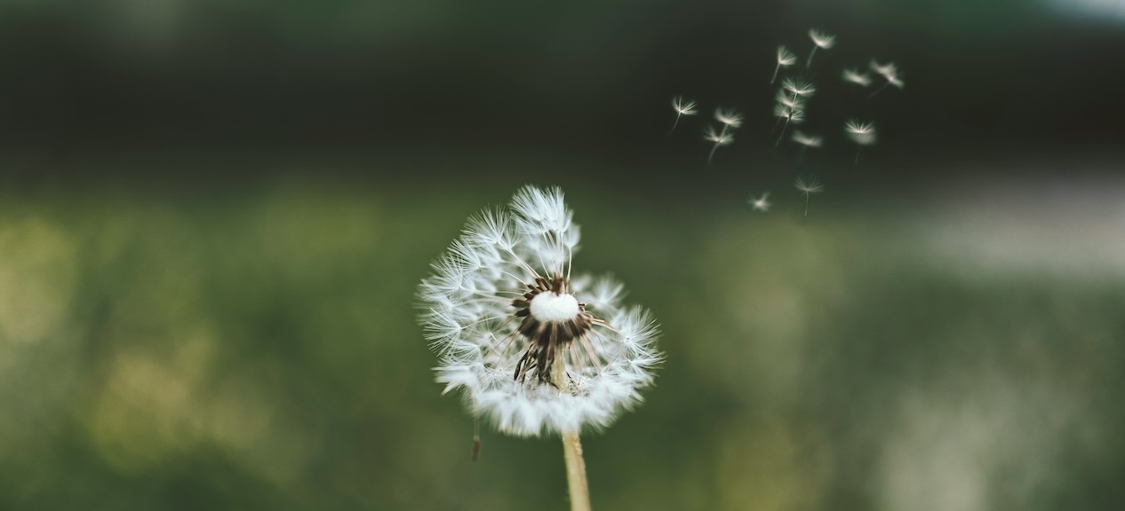 déploiement opérationnel des actions de développement durable