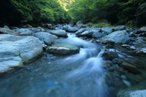 Torrent alpin aux eaux cristallines serpentant entre les rochers
